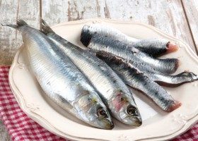 Propiedades-y-beneficios-de-la-sardina-280x200-4471825.jpg